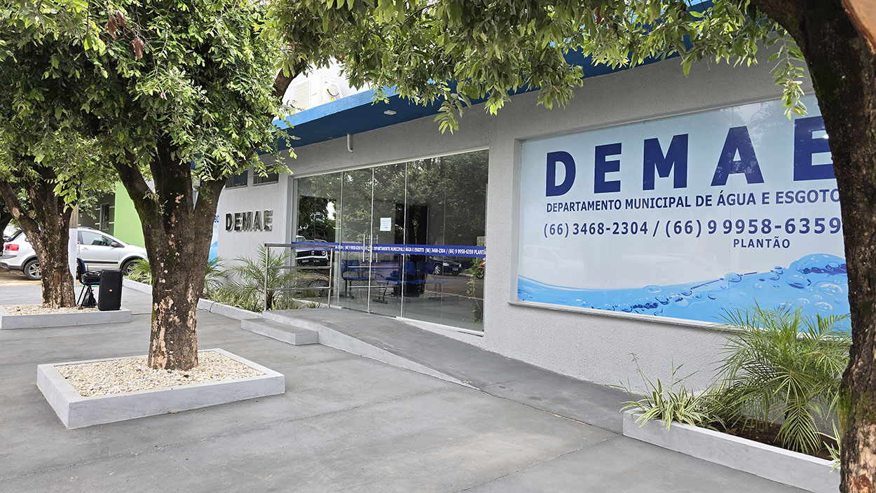 demae 2 25.11
