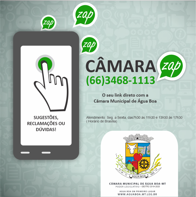 BANNER CAMARA ZAP